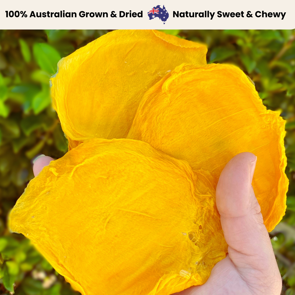 Close-up of a hand holding three large slices of Australian dried mango from Tropical Harvest. The mango slices are golden yellow, soft, and chewy, with a fibrous texture. The background features lush green leaves, reinforcing freshness and natural sourcing